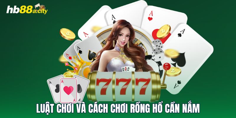 Luật chơi và cách chơi Rồng Hổ cần nắm