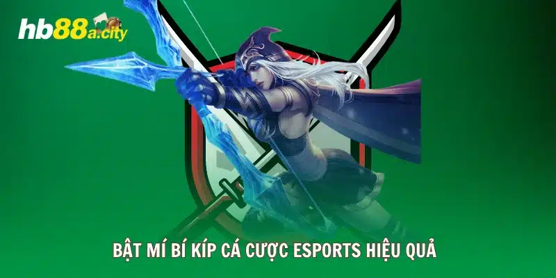 Bật mí bí kíp cá cược esports hiệu quả